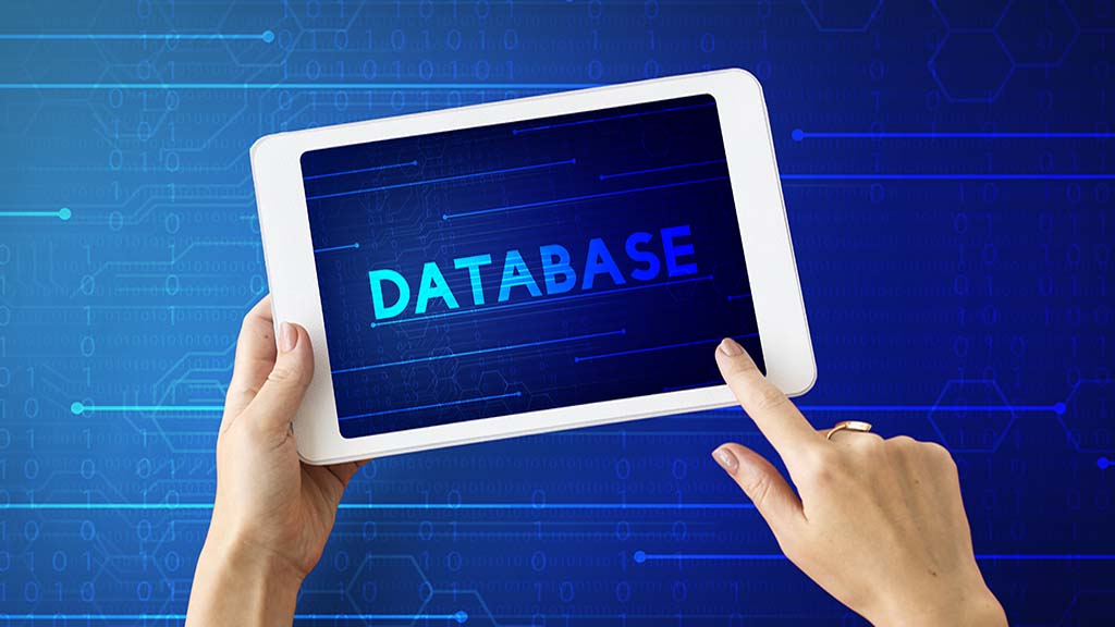 database development